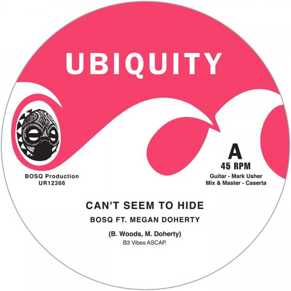 Cant Seem To Hide Take Me There (feat Megan Doherty Nicole Willis) - Bosq